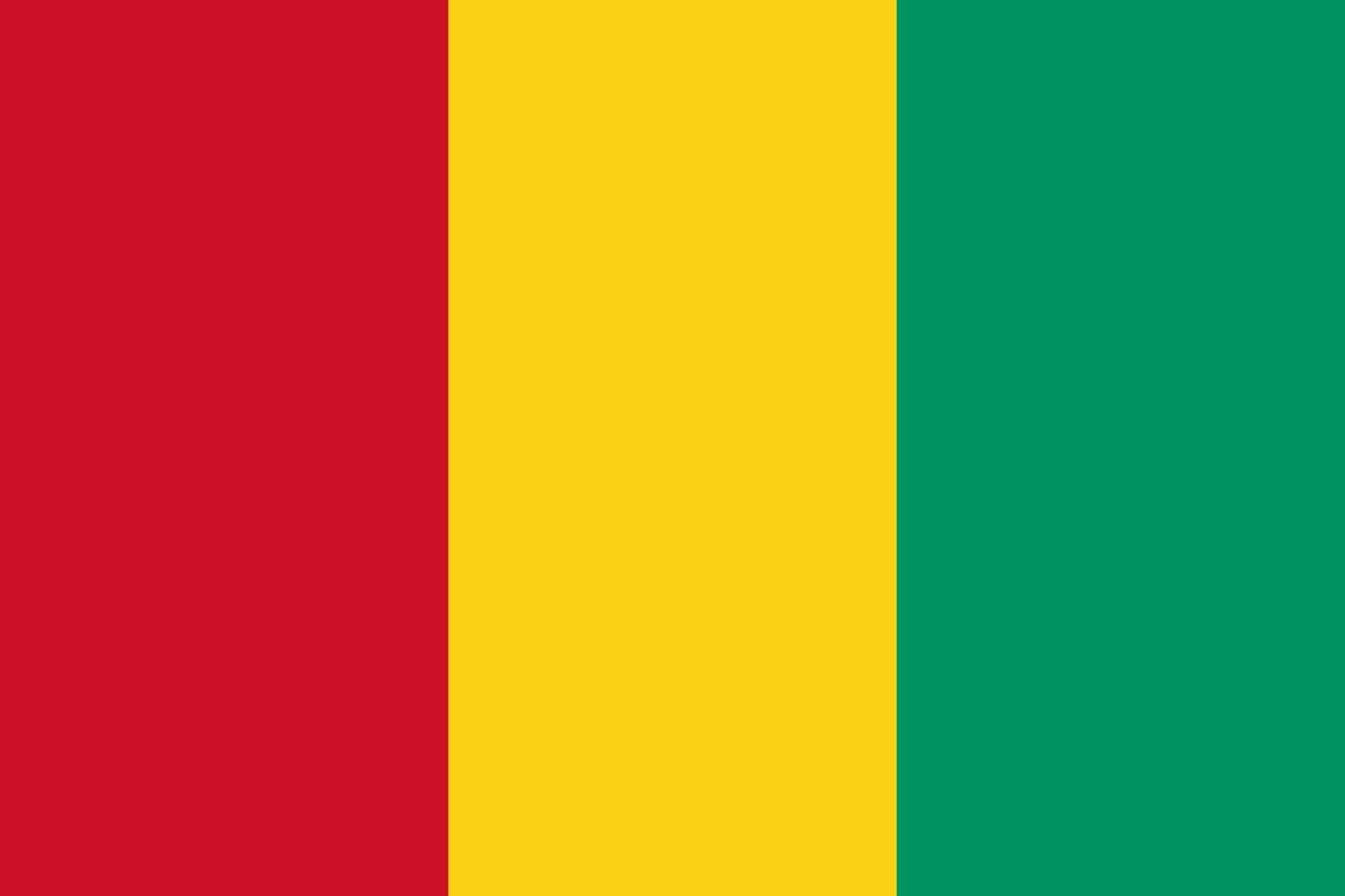 Guinea flag. Accurate dimensions and official colors. This file is suitable for digital editing and printing of any size. vector