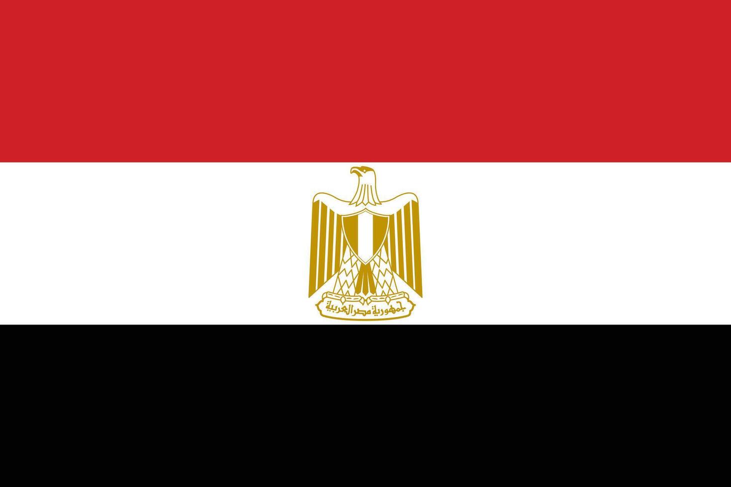 Egypt flag. Accurate dimensions and official colors. This file is suitable for digital editing and printing of any size. vector