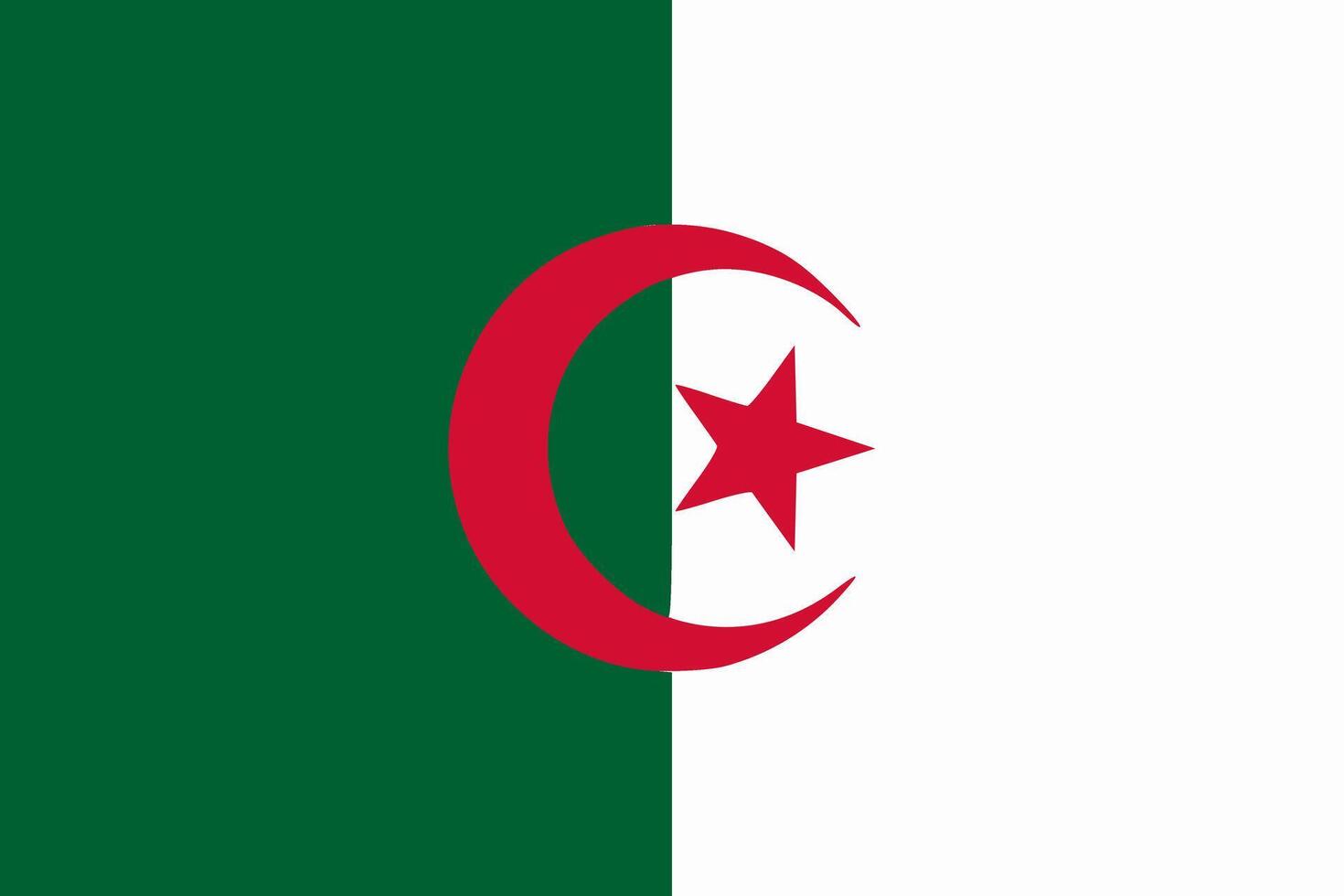 Algeria flag. Accurate dimensions and official colors. This file is suitable for digital editing and printing of any size. vector