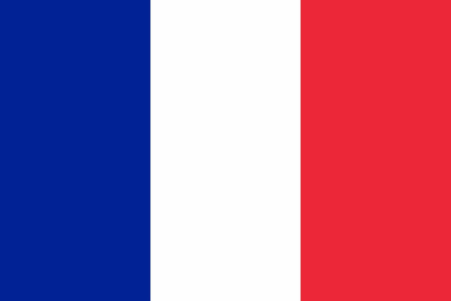 France flag. Accurate dimensions and official colors. This file is suitable for digital editing and printing of any size. vector