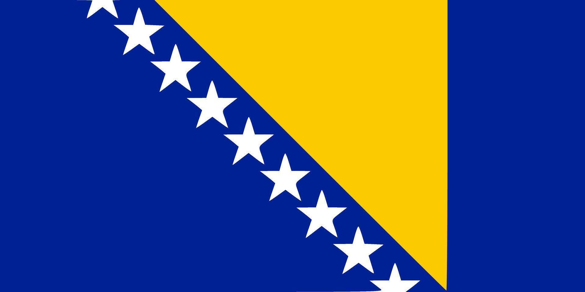 Bosnia And Herzegovina flag. Accurate dimensions and official colors. This file is suitable for digital editing and printing of any size. vector