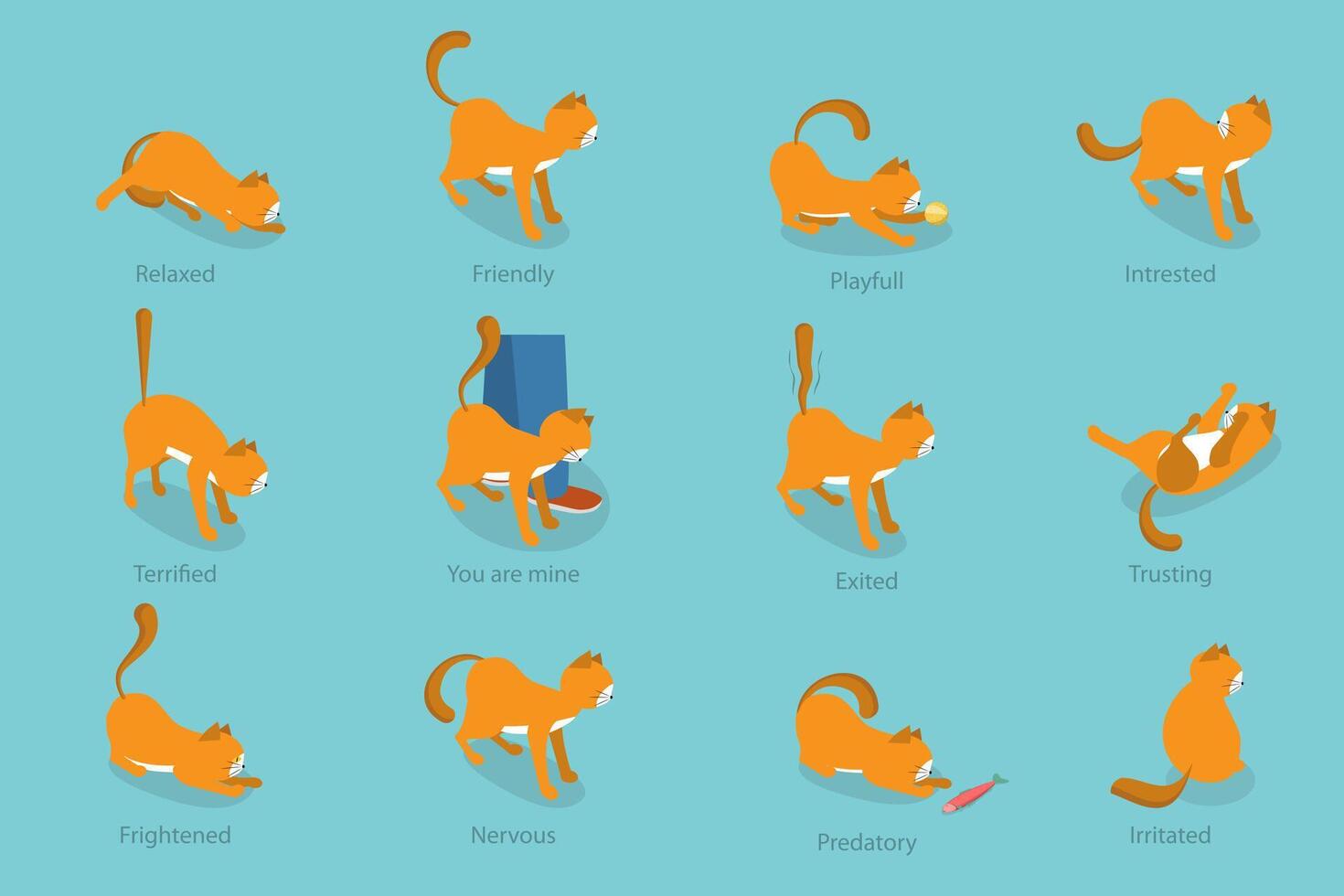 3D Isometric Flat Set of Cats Behavior Poses, Kitty Reactions vector
