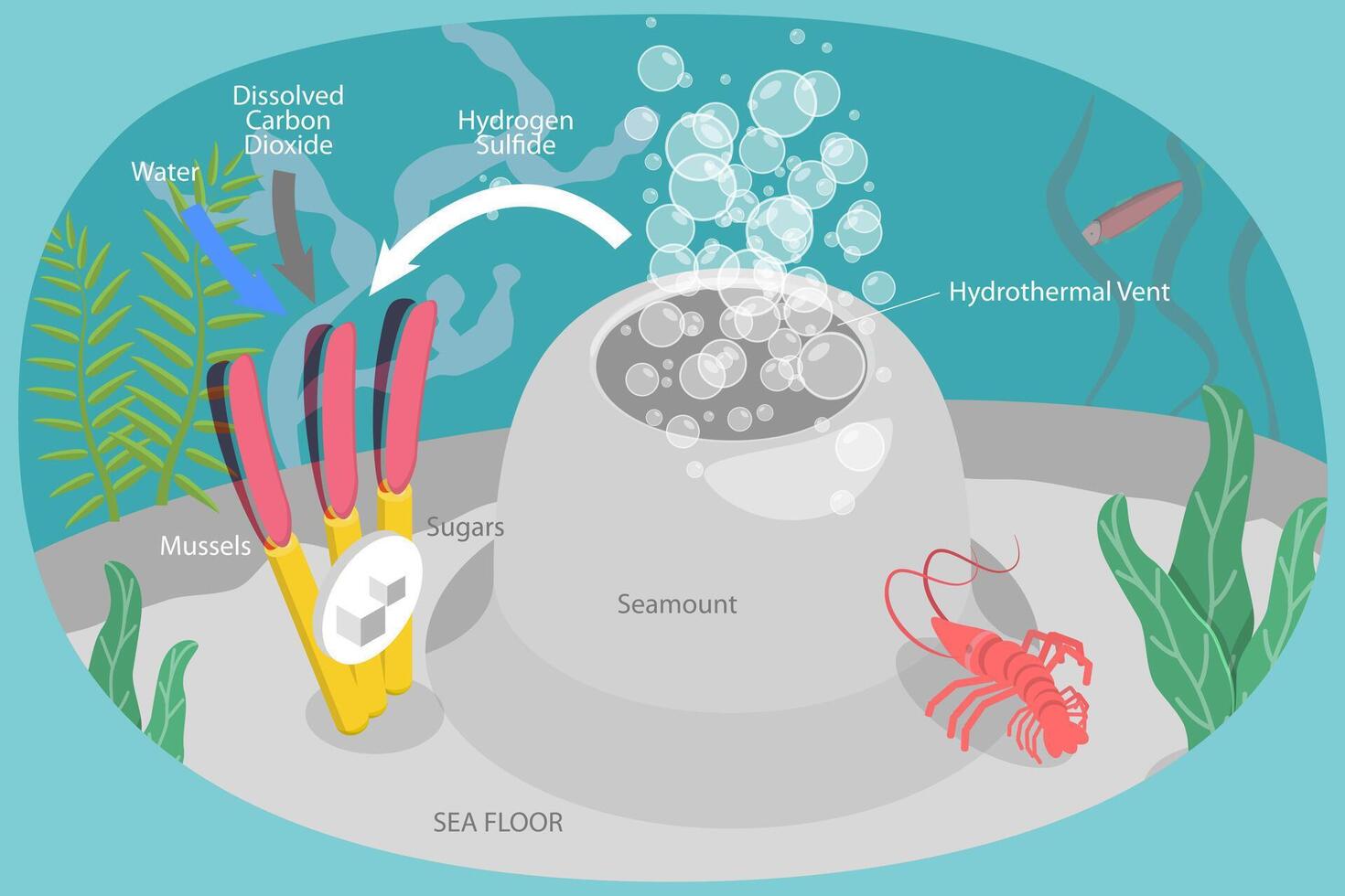 3D Isometric Flat Conceptual Illustration of Chemosynthesis, Hydrothermal Vent vector