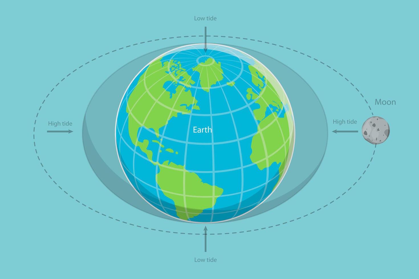 3D Isometric Flat Conceptual Illustration of Moon Causes Tides On Earth, Educational Scientific Presentation vector