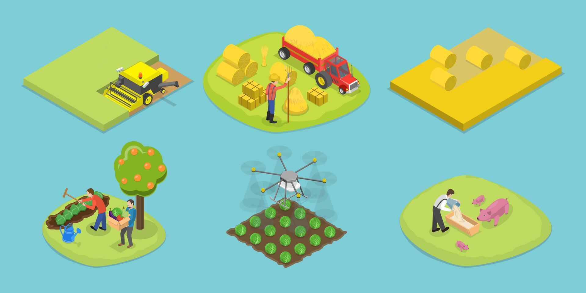 3D Isometric Flat Set of Agriculture Scenes, Harvest Season vector