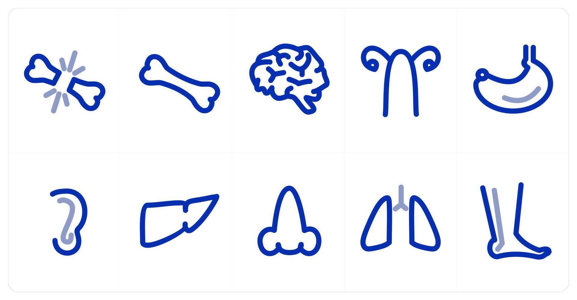 A set of 10 micro icons as cracked bone, bone, brain vector