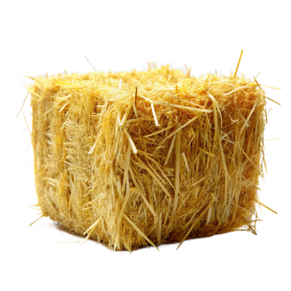 A single bale of golden hay straw isolated on a gray background showing texture and detail png