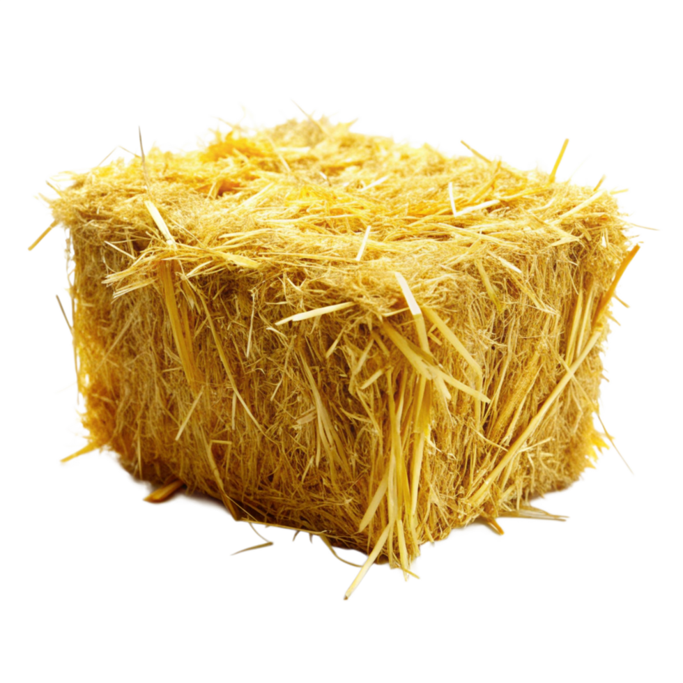 A bale of golden hay straw isolated on grey background agriculture farming harvest rural countryside png