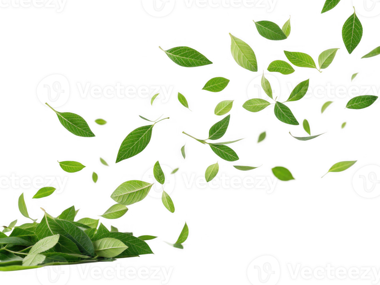 Green leaves flying in air, creating dynamic and fresh atmosphere png