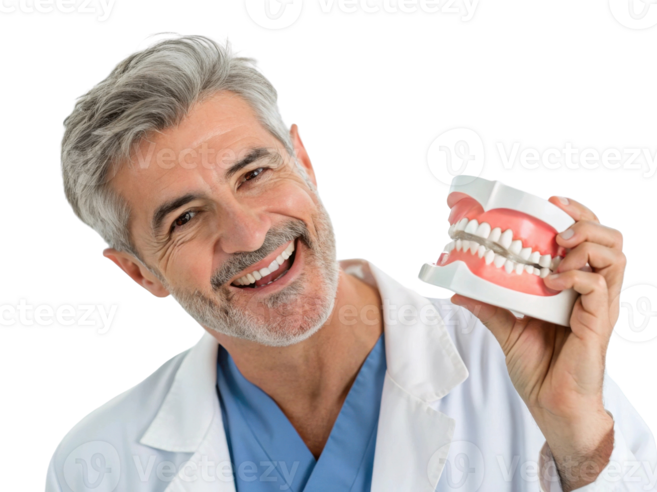 Smiling dentist holding dental model, promoting oral health and care png