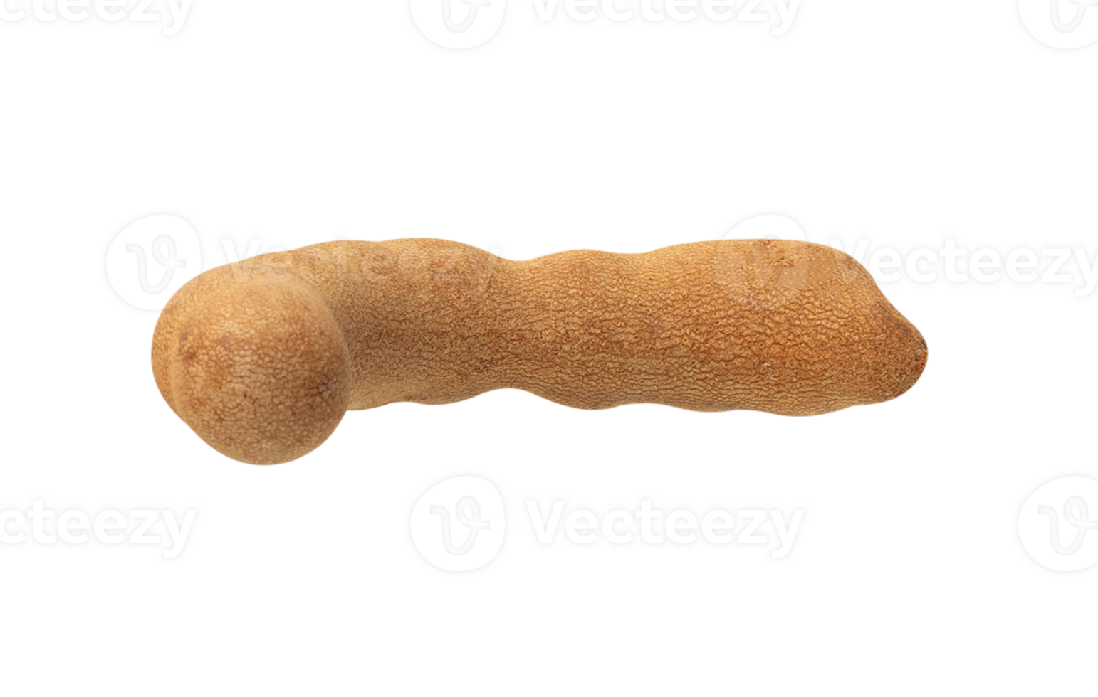 This features unique, elongated, and textured object resembling natural form. It showcases brownish color and distinct shape png