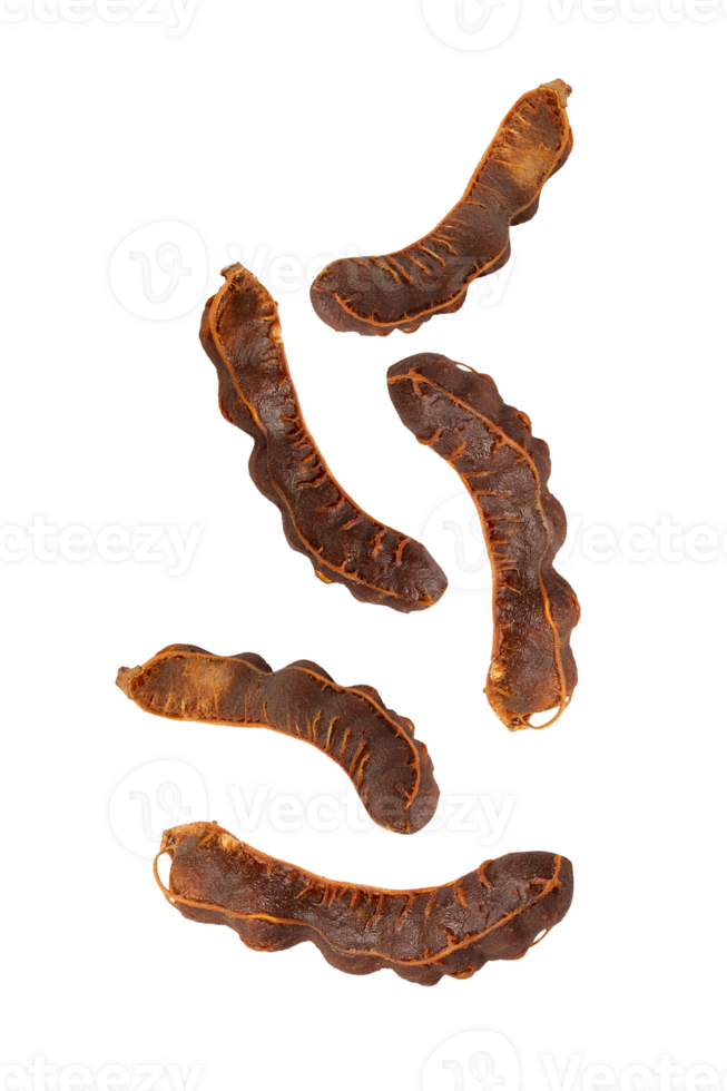 Dried tamarind pods arranged on transparency background, showcasing their unique shape and texture png