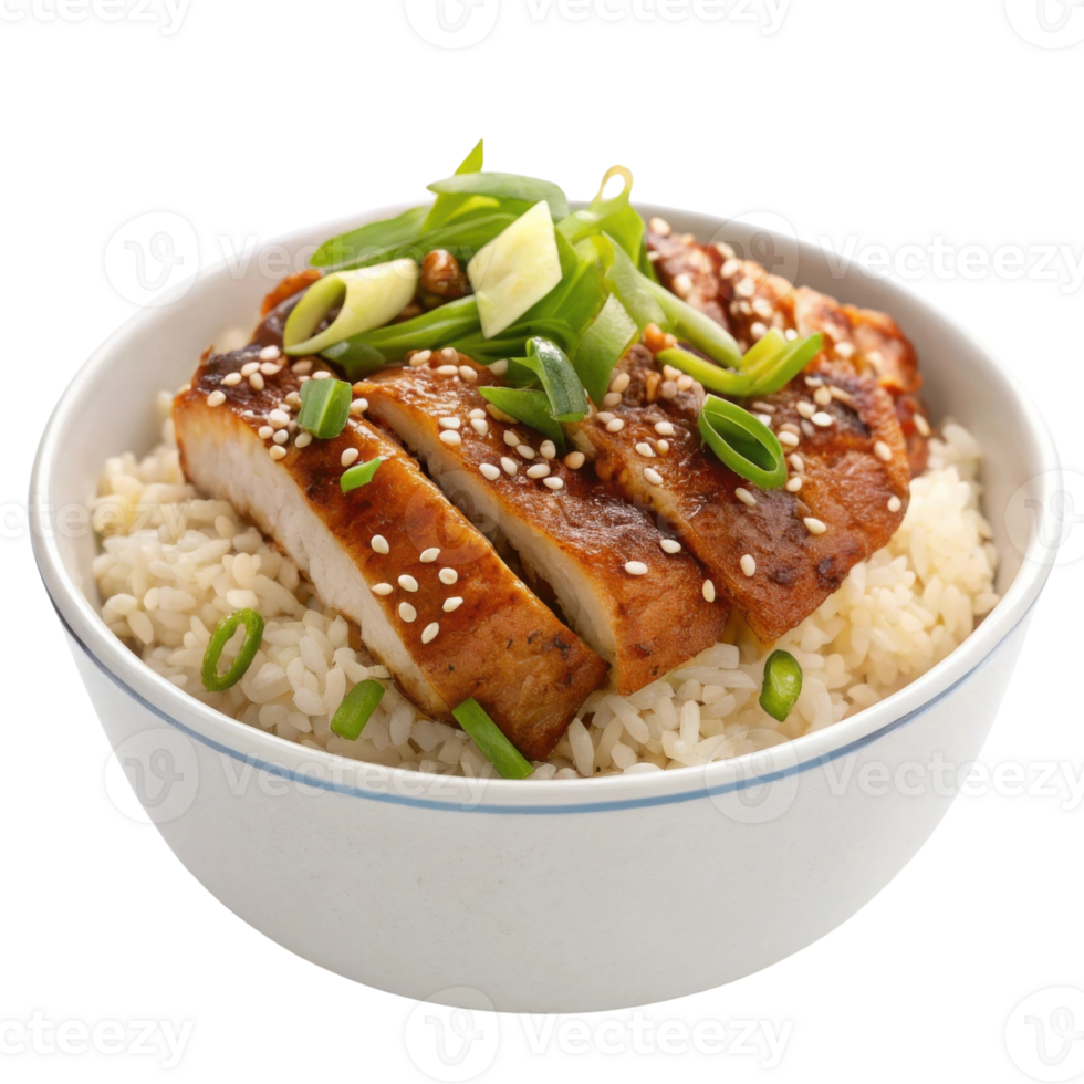Delicious grilled chicken on rice topped with green onions and sesame seeds png