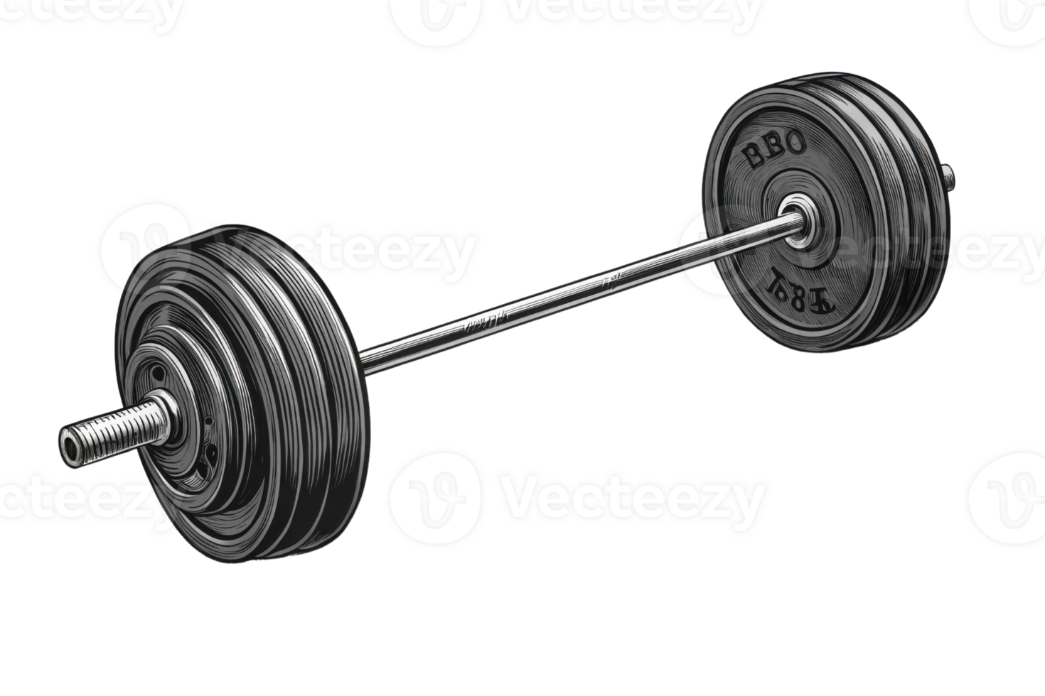 detailed illustration of barbell with weights, perfect for fitness enthusiasts png