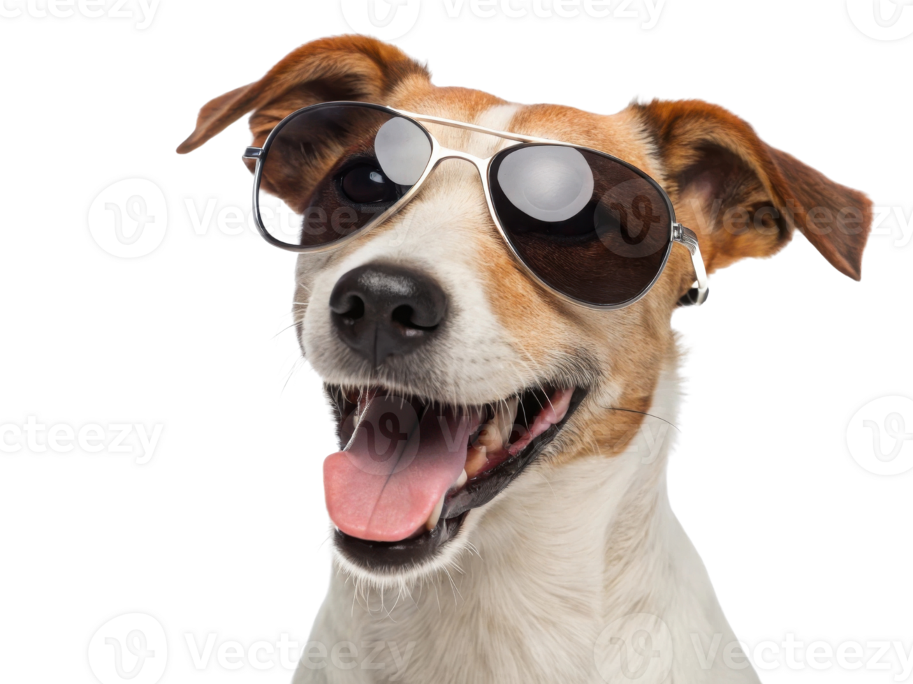 happy dog wearing sunglasses, showcasing playful and fun personality . png