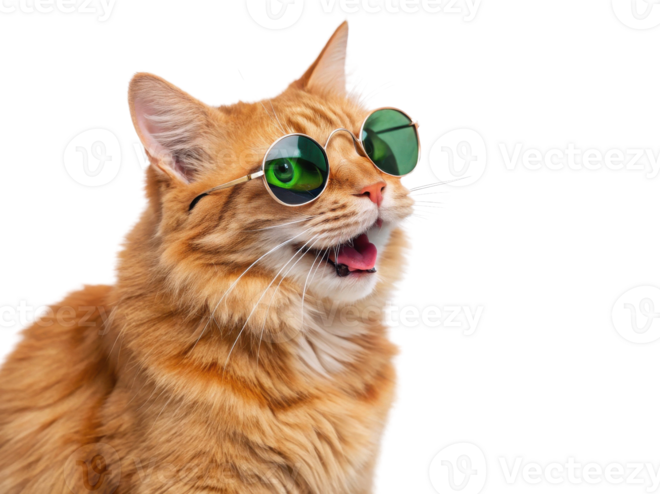 Cool cat wearing sunglasses, showcasing playful and fun personality png