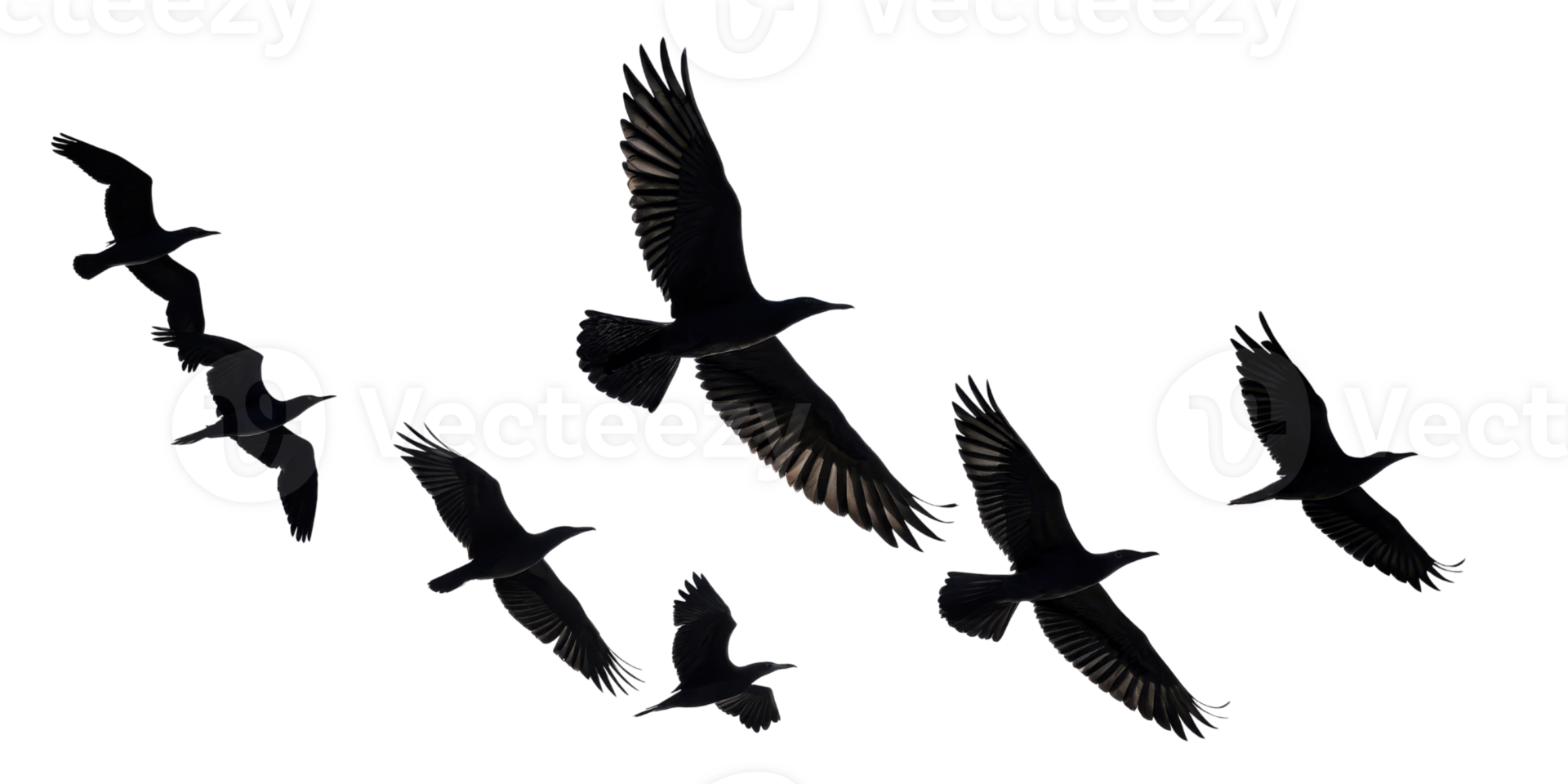 Flying birds in silhouette, creating dynamic and graceful scene png