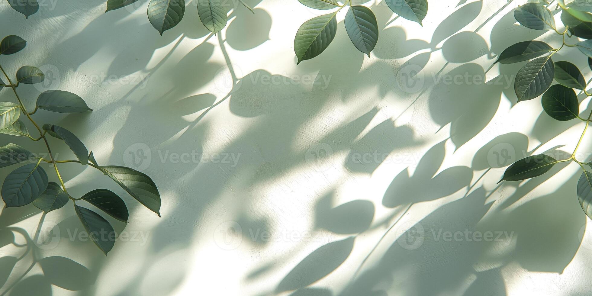 Delicate green leaves casting intricate shadows on a soft pastel surface. photo