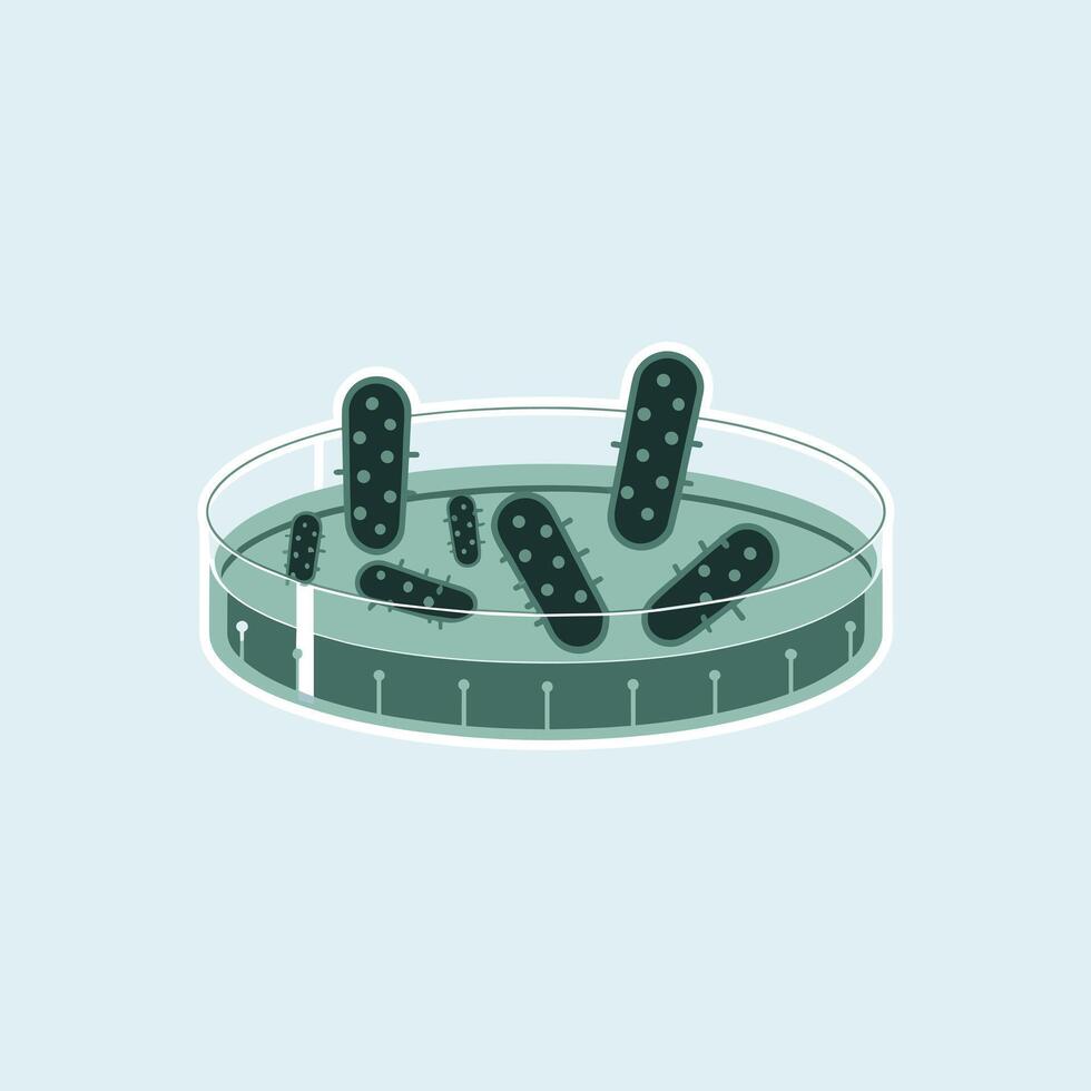 Petri Dish with Agar Medium Supporting Bacterial Growth vector