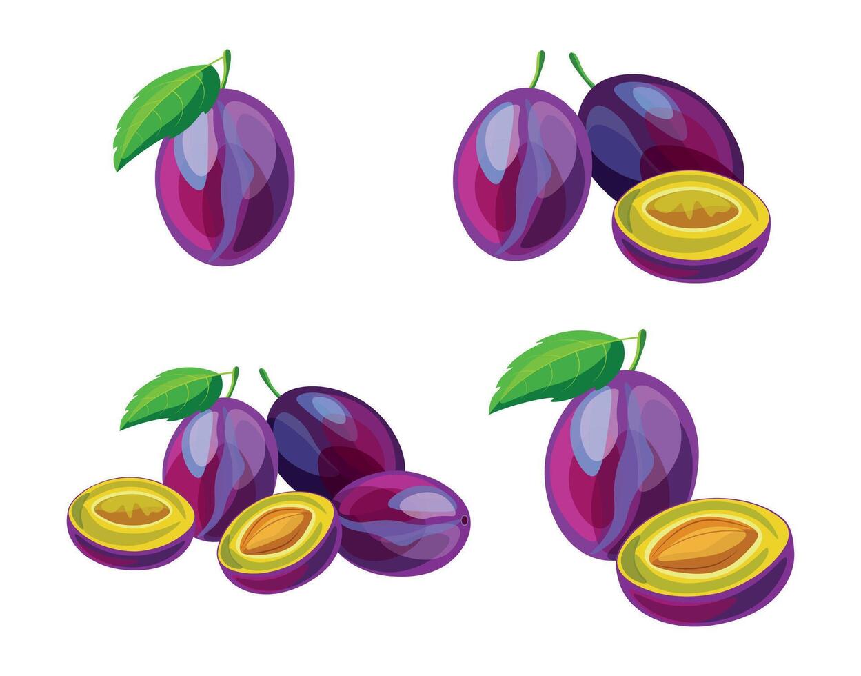 Set of sweet plums with green leaves isolated on white background. Group of whole and sliced plums. vector