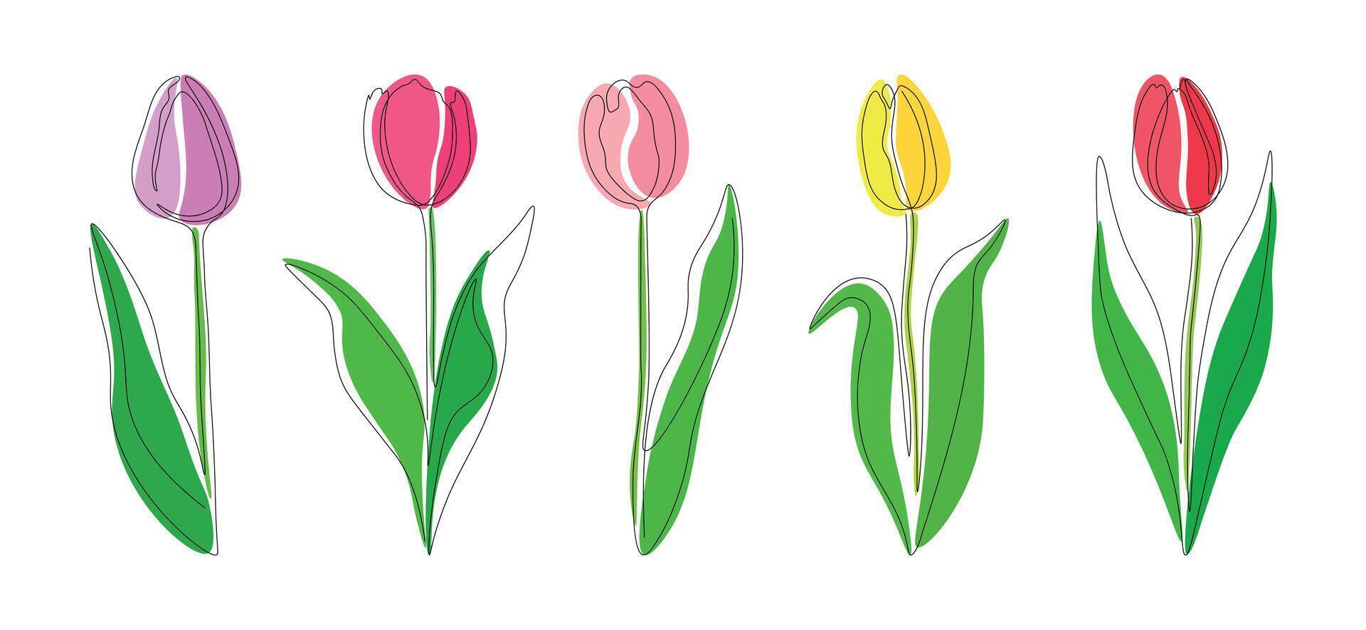 Set lilac, pink, yellow and red tulips continious one line on a white background. Cute multi-colored tulips in one line. vector