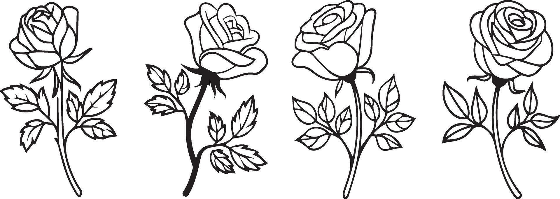 Rose flower single line art and illustration vector