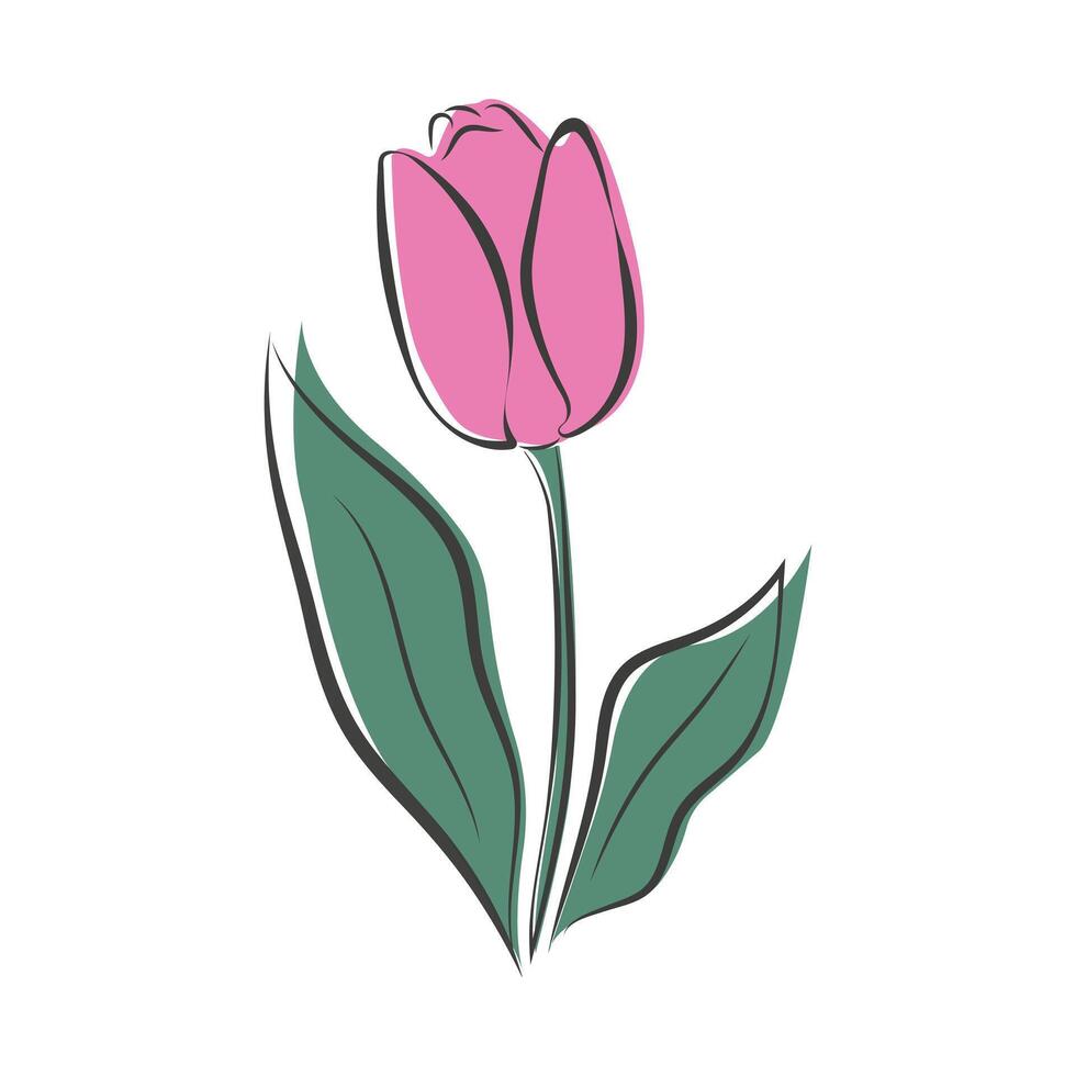 Illustration of a tulip in line art style. Stylized tulip. Color spots. one line flower illustration, minimalistic illustration, black linear sketch, batan icon. emblem, logo, icon vector