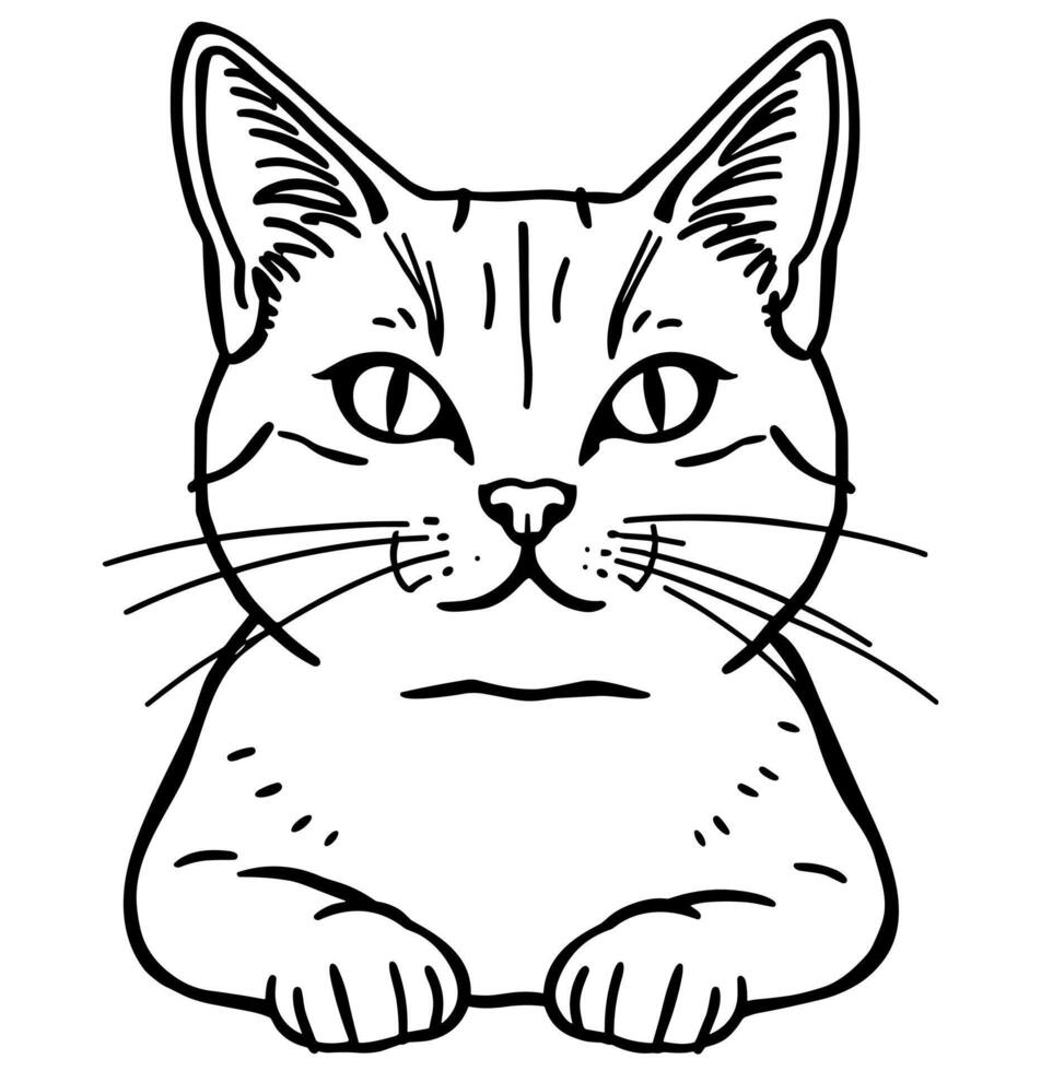 Cute black and white cat drawing vector