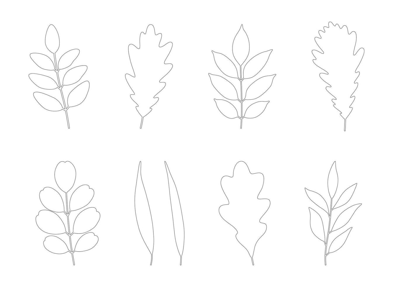 Set of autumn leaves oak, acacia, ash, and willow. Black silhouettes in line art style on a white background. Fall, spring, or summer collection foliage. vector