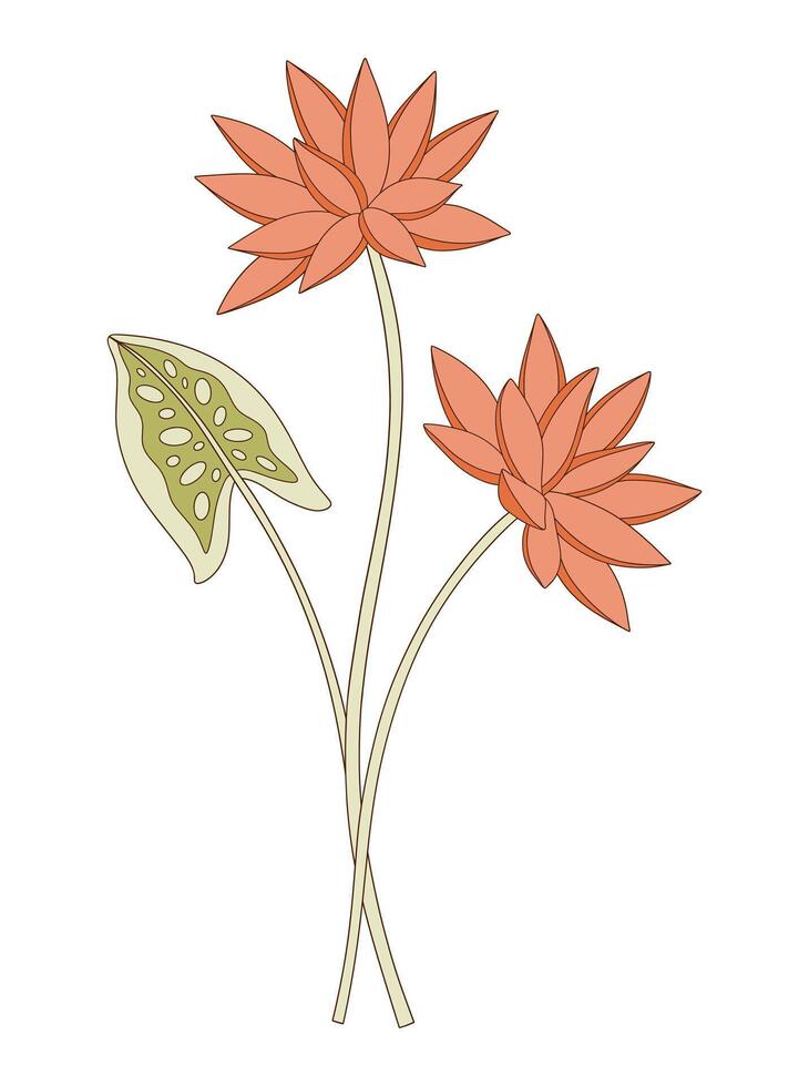 Bright bouquet of two nymphaea flowers with leaf. Bunch of blooming water wild plants. Botanical hand drawn elements for design projects. vector