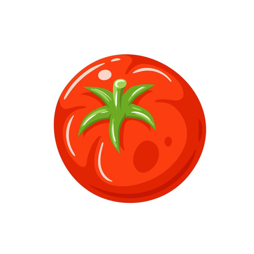 Red cherry tomato isolated on white background vector