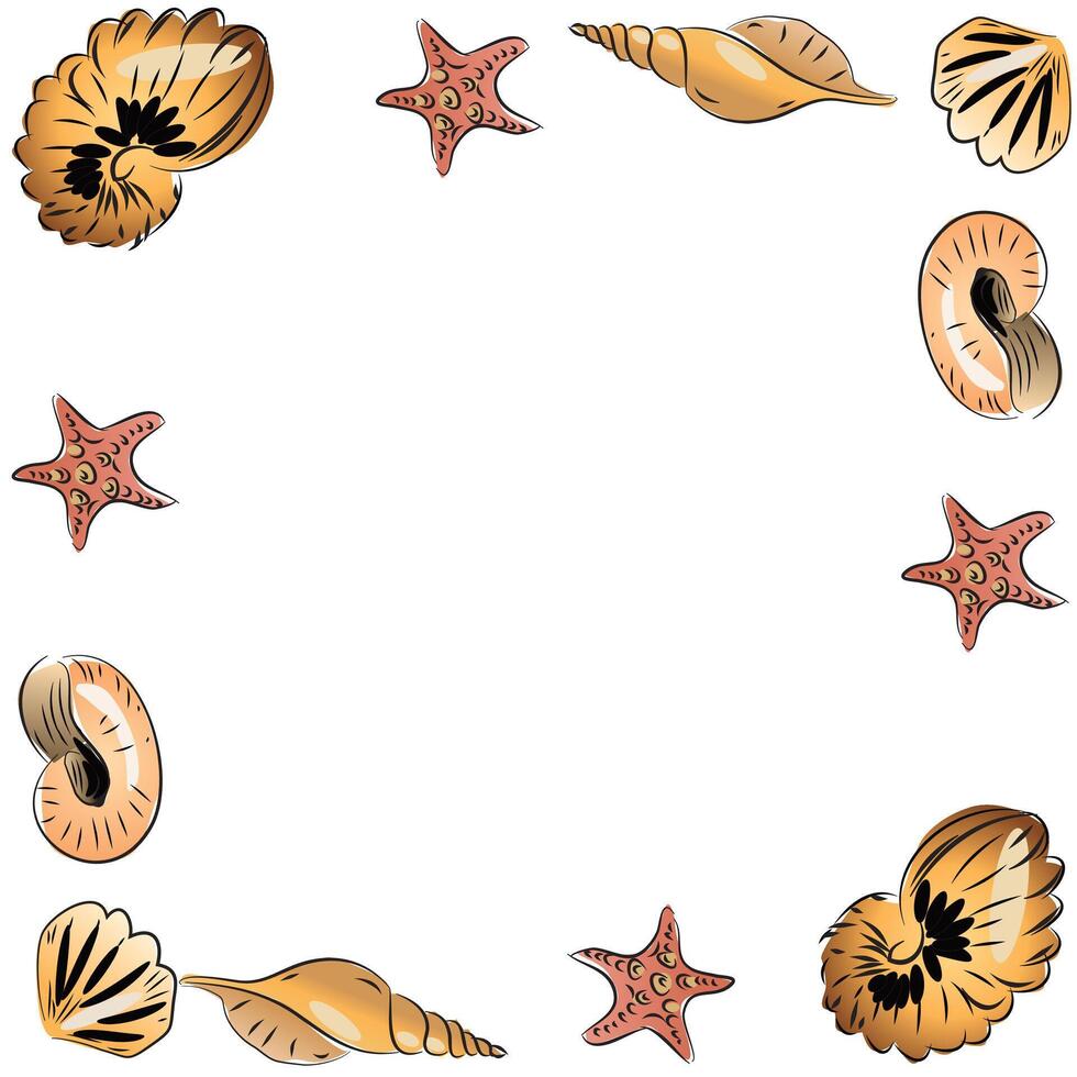 Seashell frame and border vector