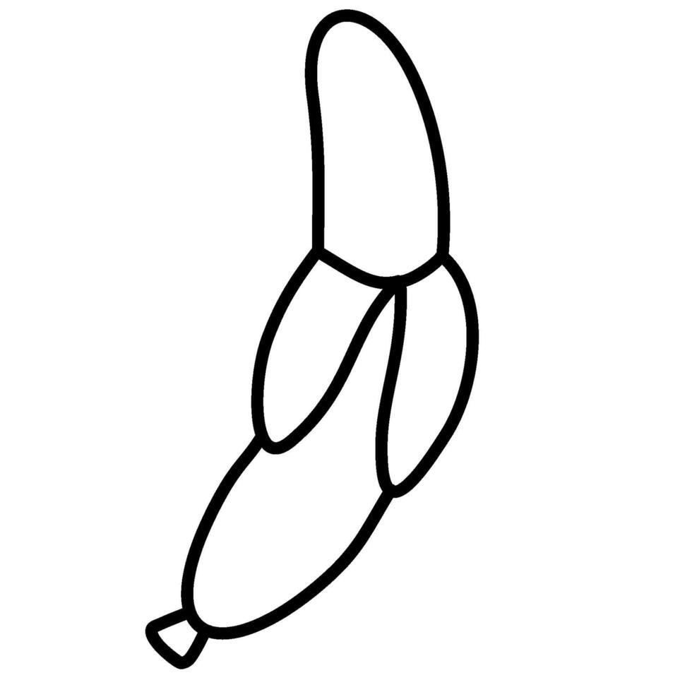 Banana fruit line vector