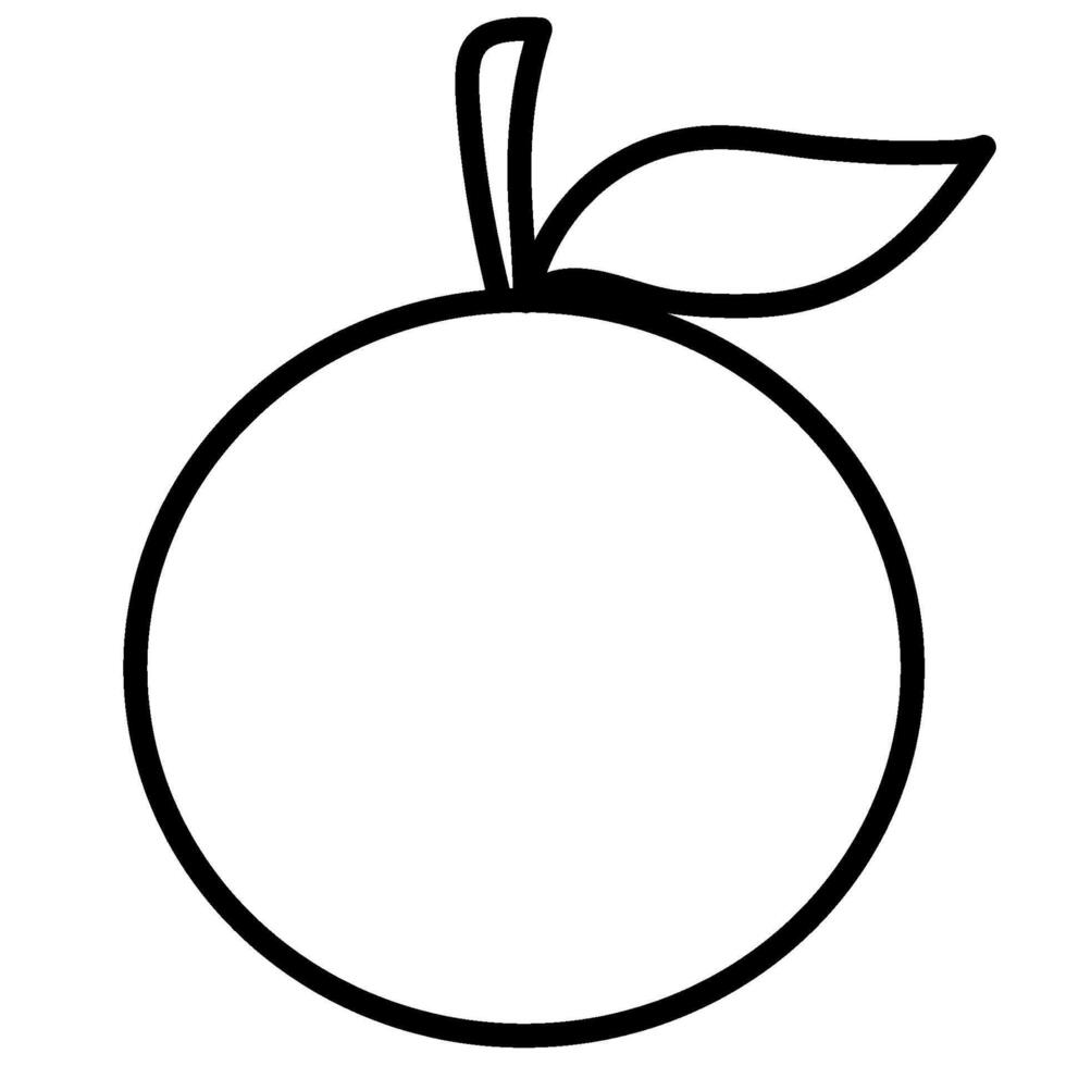 Orange fruit line vector