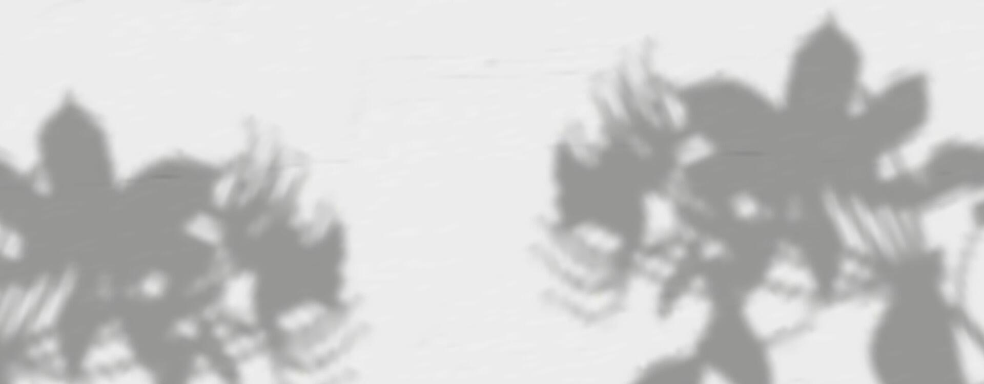 Shadow of a plant on a wall vector