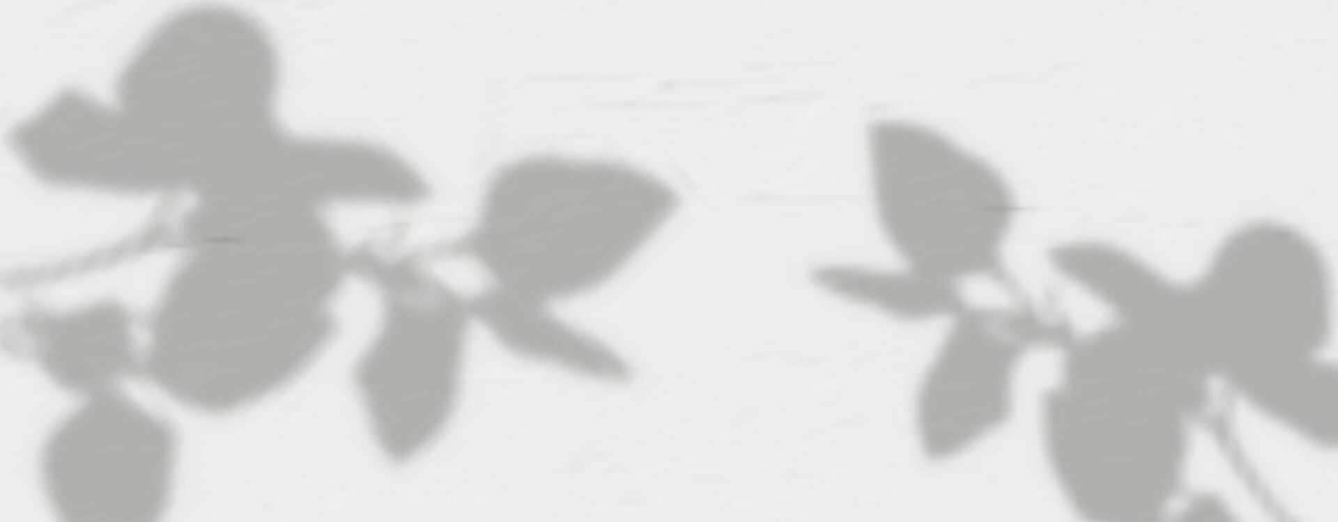 Shadow of leaves on a wall vector