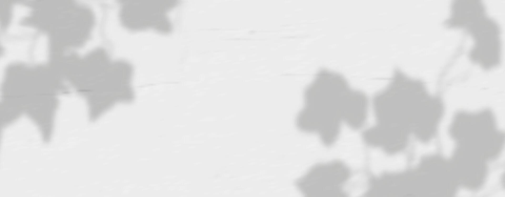 A white wall with a tree in the shadow vector