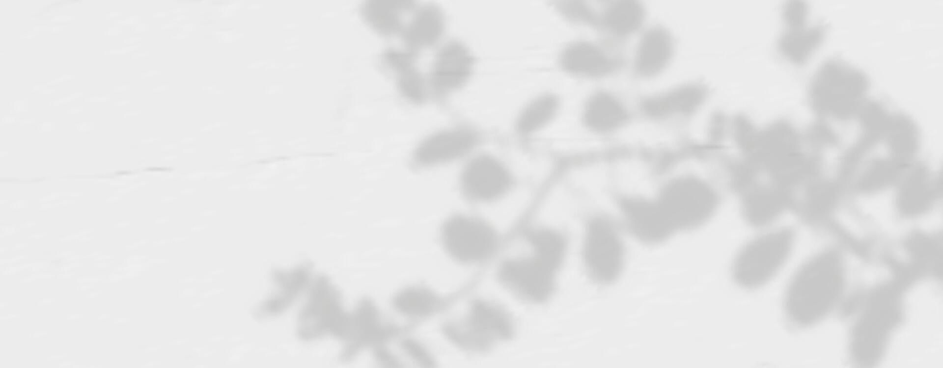 Shadow of leaves on a wall vector