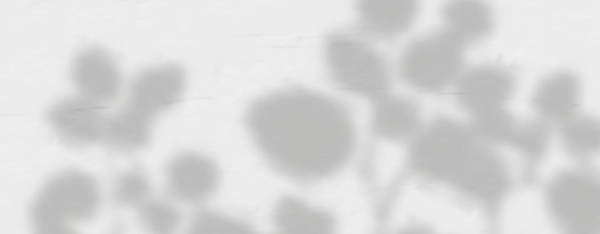 A shadow of a plant on a wall vector