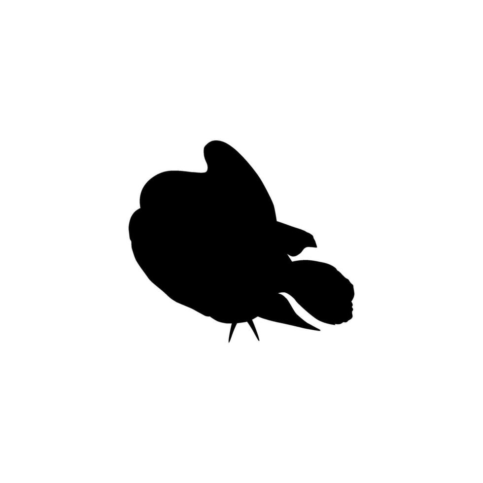 Silhouette Humphead wrasse, Cheilinus undulatus, also known as the Maori wrasse, Napoleon wrasse, Napoleon fish. Flat Style, can use for Logo Gram, Animal Illustration, Pictogram, ect. vector