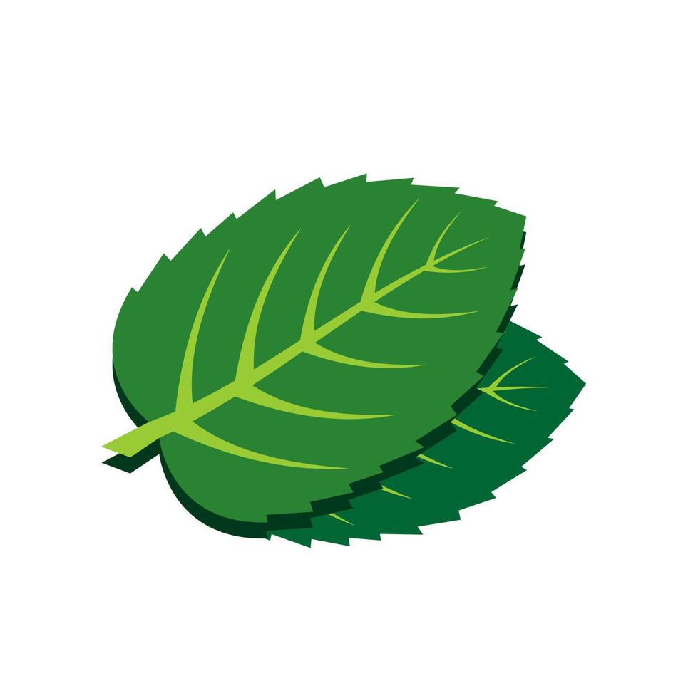 Illustration of stacked green leaves vector