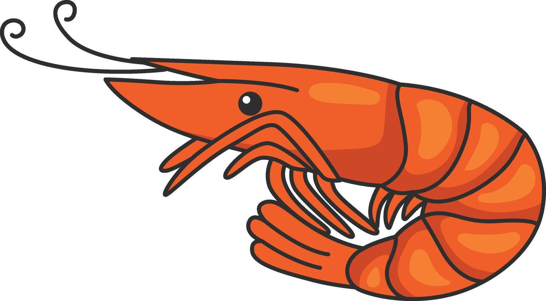 cute shrimp illustration vector
