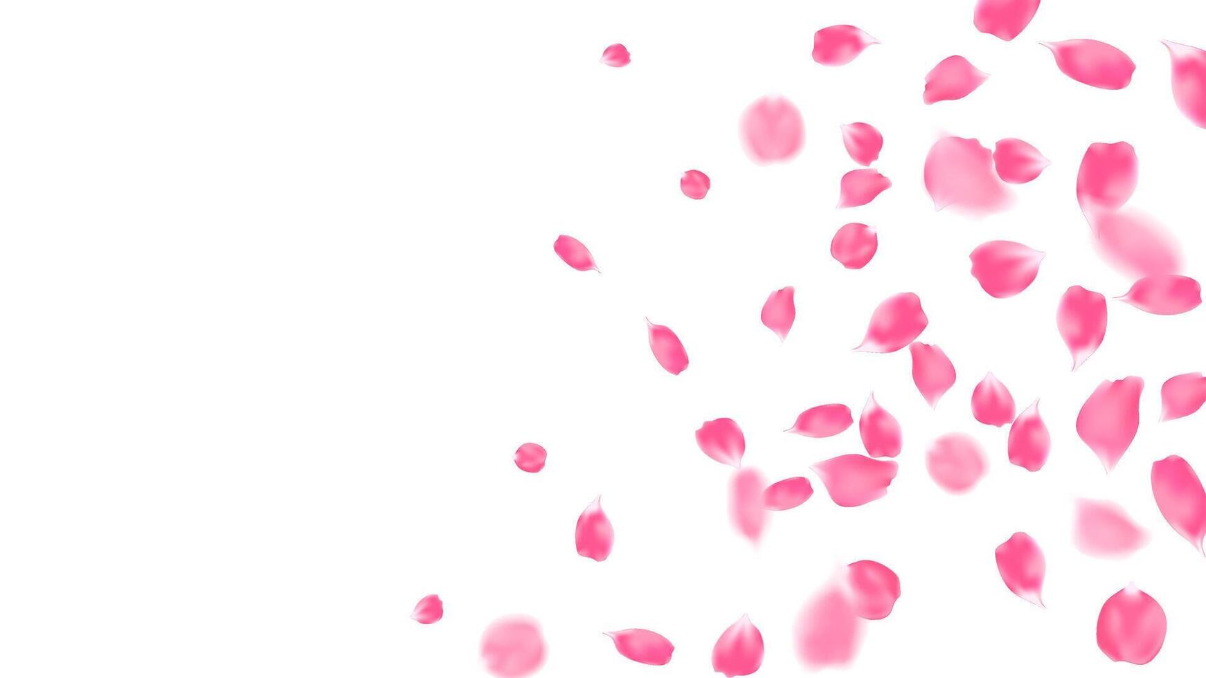 Realistic flying petals of pink rose, spring background illustration, greeting card vector