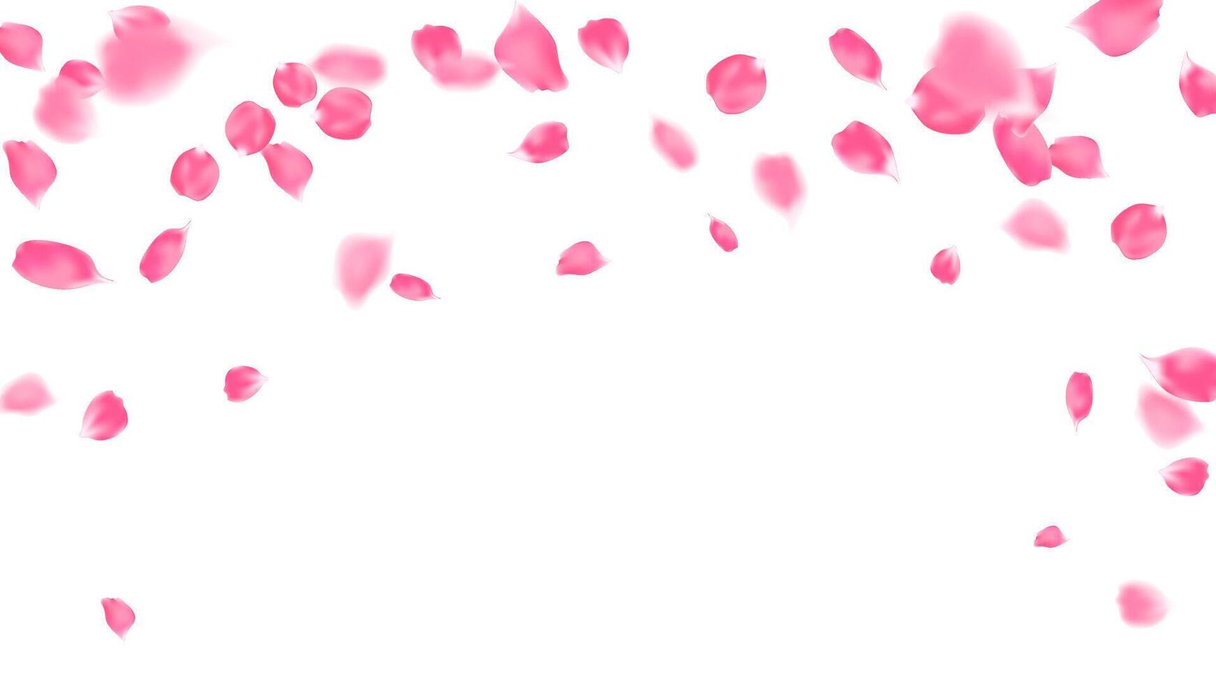 Rose petals pink color realistic flying, flower petals flow or falling motion decor romantic background vector