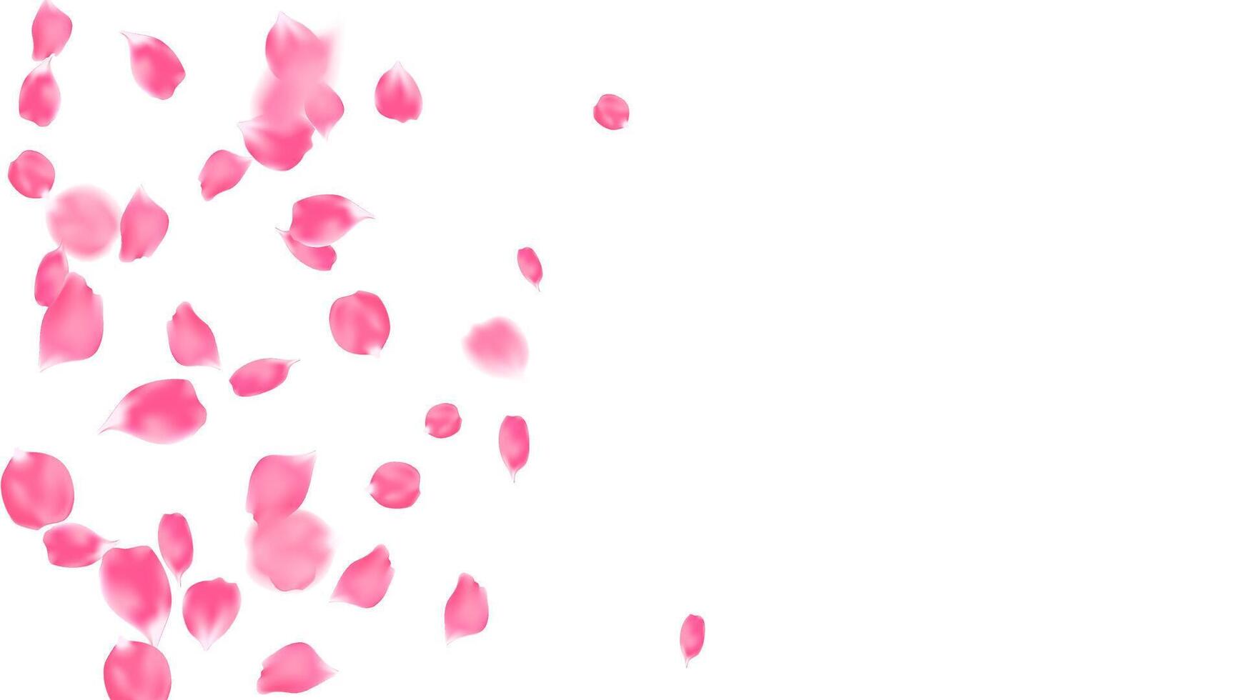 Lovely banner rose petals flying float. Floral composition background, Valentine romantic card design illustration vector