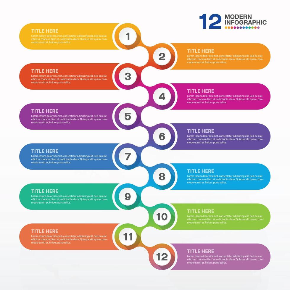Infographic 12 options or step for presentation, Icons. vector
