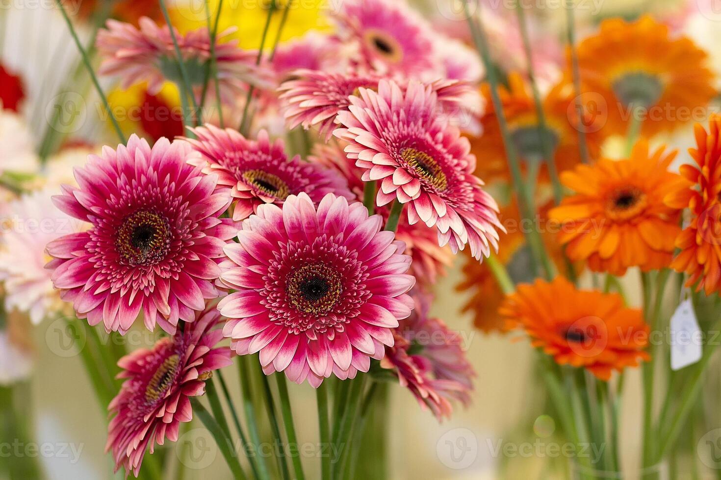Beautiful bouquet of gerberas on the counter photo