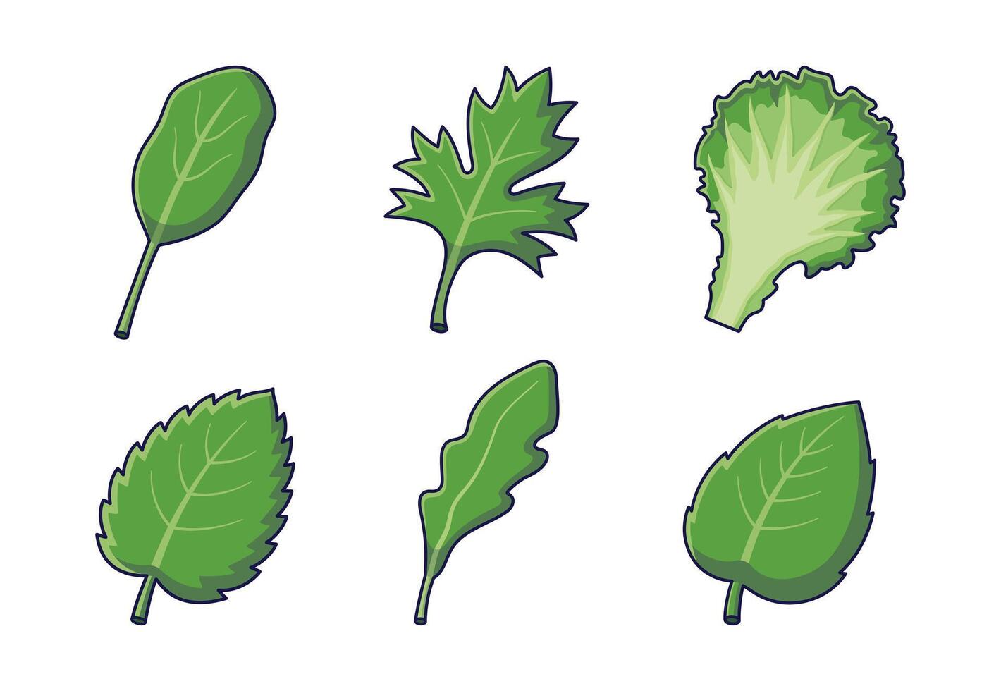 Fresh herbs concept. Cute cartoon herbs characters, leaves, branches of Arugula, mint, basil, spinach, lettuce. Cartoon icons, stickers isolated on white background. Herbs collection vector