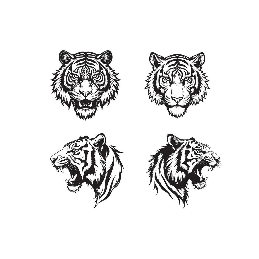 Tiger black and white vector