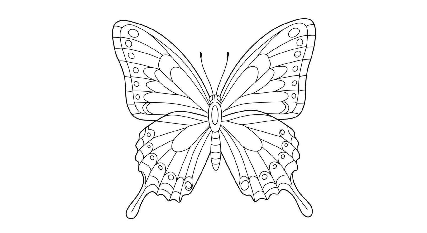 Coloring page featuring a butterfly at rest with its wings folded together vector